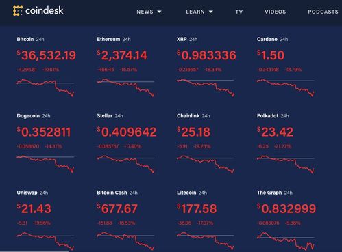 High-efficiency mining rig maintained within standardized hosting environment