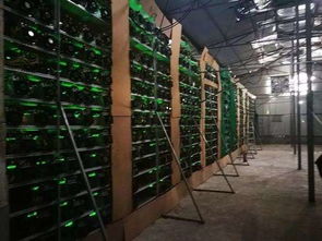High-efficiency mining rig powering Bitcoin and Ethereum mining operations