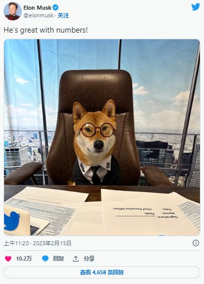 A graphical representation of Dogecoin symbolizing its meme culture